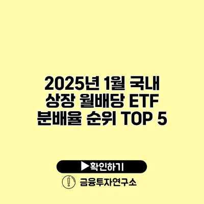 2025년 1월 국내 상장 월배당 ETF 분배율 순위 TOP 5