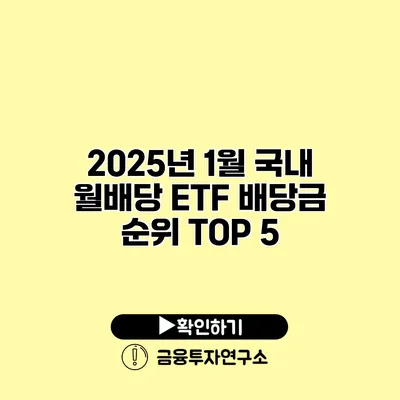 2025년 1월 국내 월배당 ETF 배당금 순위 TOP 5