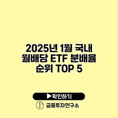 2025년 1월 국내 월배당 ETF 분배율 순위 TOP 5