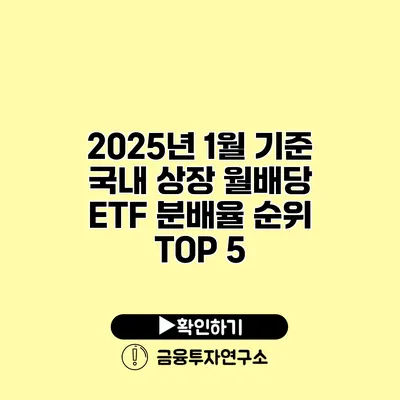 2025년 1월 기준 국내 상장 월배당 ETF 분배율 순위 TOP 5