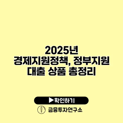 2025년 경제지원정책, 정부지원 대출 상품 총정리