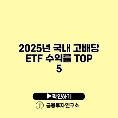 2025년 국내 고배당 ETF 수익률 TOP 5