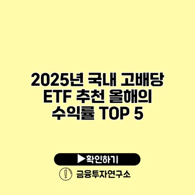 2025년 국내 고배당 ETF 추천 올해의 수익률 TOP 5