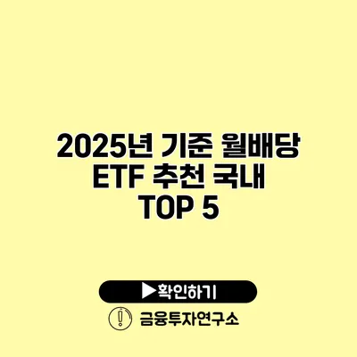 2025년 기준 월배당 ETF 추천 국내 TOP 5