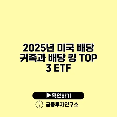 2025년 미국 배당 귀족과 배당 킹 TOP 3 ETF