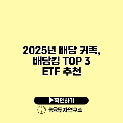 2025년 배당 귀족, 배당킹 TOP 3 ETF 추천