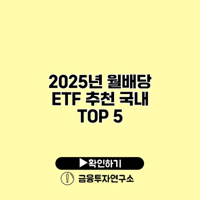 2025년 월배당 ETF 추천 국내 TOP 5