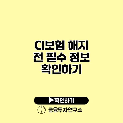 CI보험 해지 전 필수 정보 확인하기