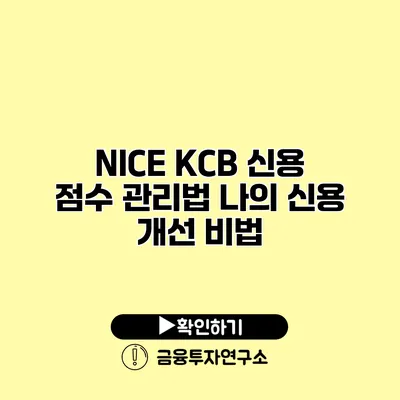 NICE KCB 신용 점수 관리법 나의 신용 개선 비법