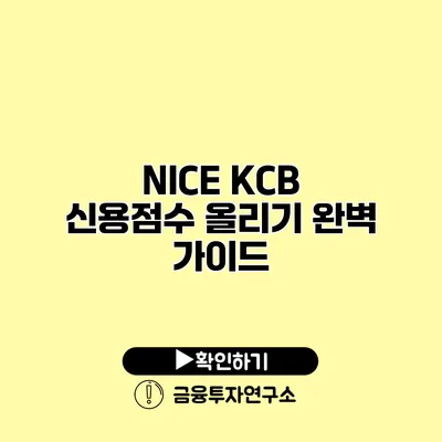 NICE KCB 신용점수 올리기 완벽 가이드