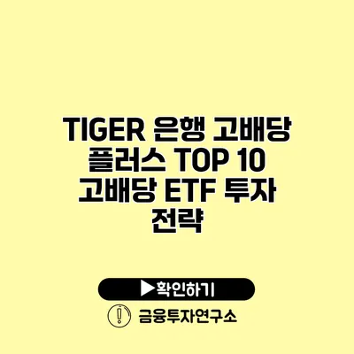 TIGER 은행 고배당 플러스 TOP 10 고배당 ETF 투자 전략