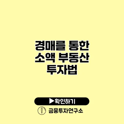 경매를 통한 소액 부동산 투자법