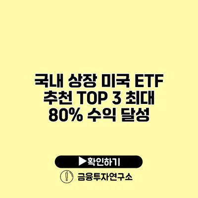 국내 상장 미국 ETF 추천 TOP 3 최대 80% 수익 달성