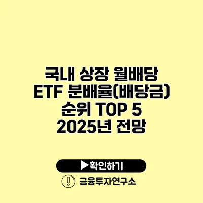 국내 상장 월배당 ETF 분배율(배당금) 순위 TOP 5 2025년 전망