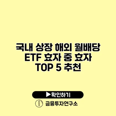 국내 상장 해외 월배당 ETF 효자 중 효자 TOP 5 추천