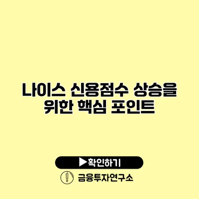 나이스 신용점수 상승을 위한 핵심 포인트