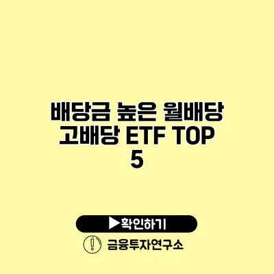 배당금 높은 월배당 고배당 ETF TOP 5