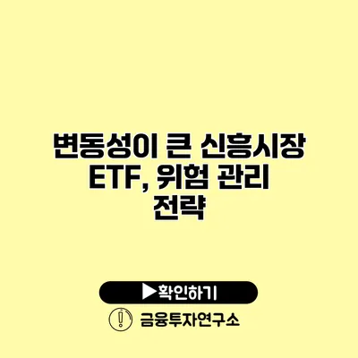 변동성이 큰 신흥시장 ETF, 위험 관리 전략