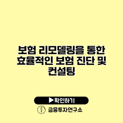 보험 리모델링을 통한 효율적인 보험 진단 및 컨설팅