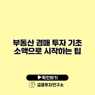 부동산 경매 투자 기초 소액으로 시작하는 팁