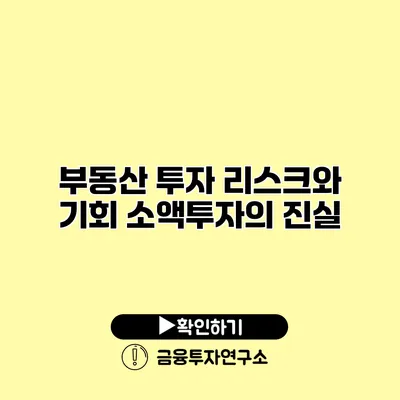 부동산 투자 리스크와 기회 소액투자의 진실