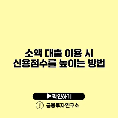 소액 대출 이용 시 신용점수를 높이는 방법