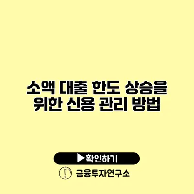 소액 대출 한도 상승을 위한 신용 관리 방법