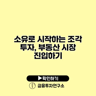 소유로 시작하는 조각 투자, 부동산 시장 진입하기