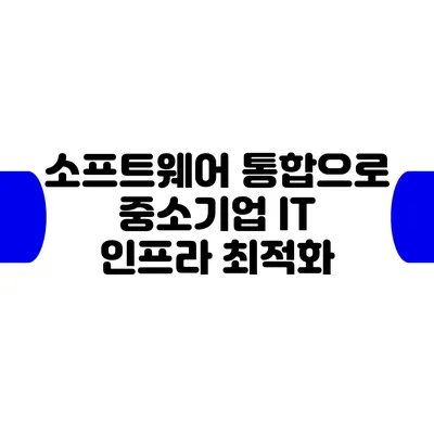 소프트웨어 통합으로 중소기업 IT 인프라 최적화