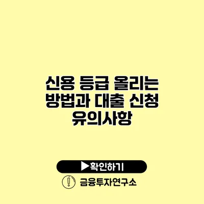 신용 등급 올리는 방법과 대출 신청 유의사항