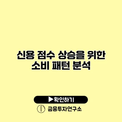 신용 점수 상승을 위한 소비 패턴 분석