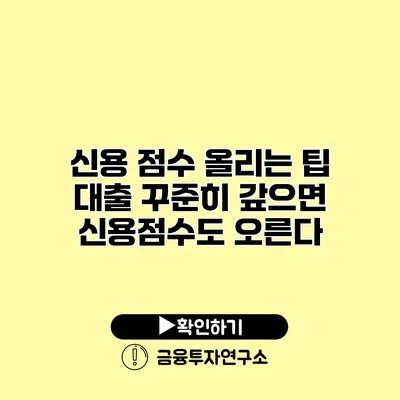 신용 점수 올리는 팁 대출 꾸준히 갚으면 신용점수도 오른다