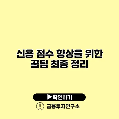 신용 점수 향상을 위한 꿀팁 최종 정리