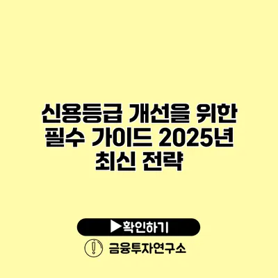 신용등급 개선을 위한 필수 가이드 2025년 최신 전략