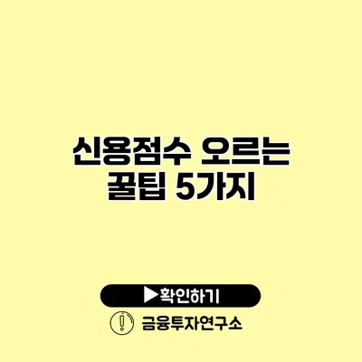 신용점수 오르는 꿀팁 5가지