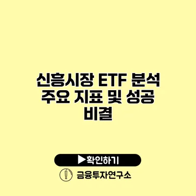 신흥시장 ETF 분석 주요 지표 및 성공 비결