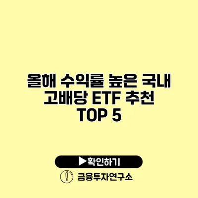 올해 수익률 높은 국내 고배당 ETF 추천 TOP 5