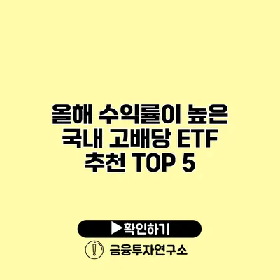 올해 수익률이 높은 국내 고배당 ETF 추천 TOP 5