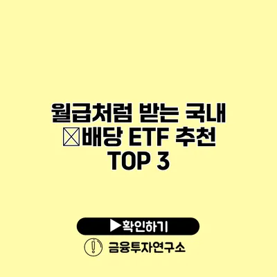 월급처럼 받는 국내 月배당 ETF 추천 TOP 3