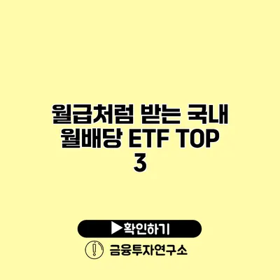 월급처럼 받는 국내 월배당 ETF TOP 3