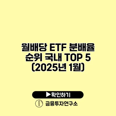 월배당 ETF 분배율 순위 국내 TOP 5 (2025년 1월)