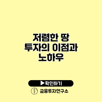 저렴한 땅 투자의 이점과 노하우