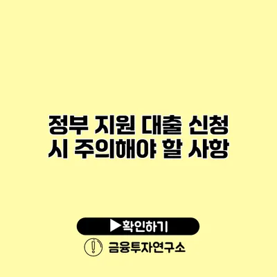 정부 지원 대출 신청 시 주의해야 할 사항