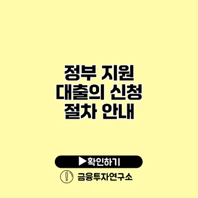 정부 지원 대출의 신청 절차 안내