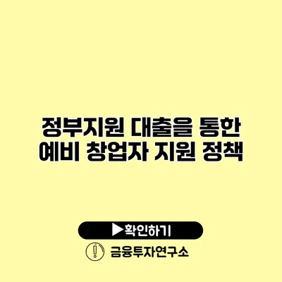 정부지원 대출을 통한 예비 창업자 지원 정책