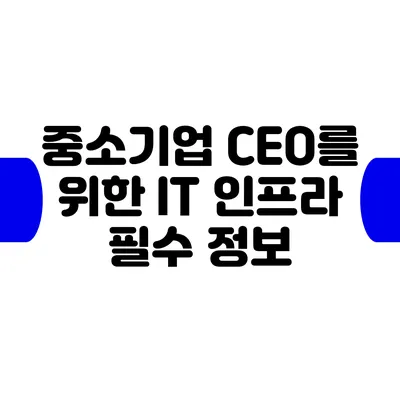 중소기업 CEO를 위한 IT 인프라 필수 정보