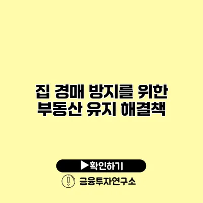 집 경매 방지를 위한 부동산 유지 해결책