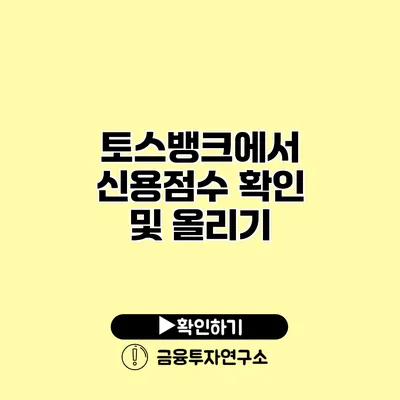 토스뱅크에서 신용점수 확인 및 올리기