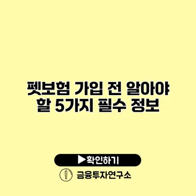 펫보험 가입 전 알아야 할 5가지 필수 정보