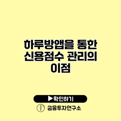 하루방앱을 통한 신용점수 관리의 이점